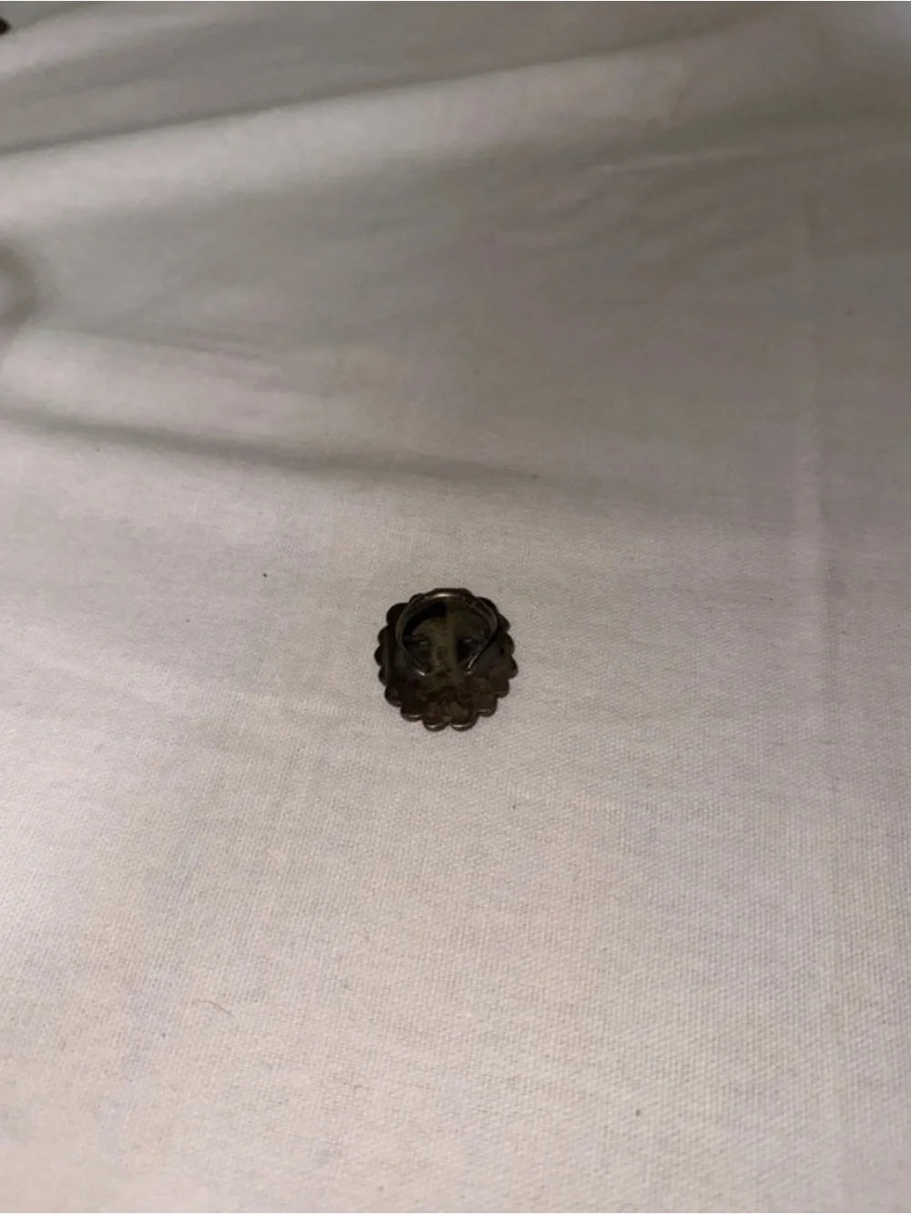 Oval bird ring